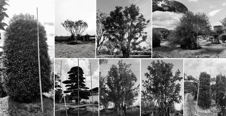 安澜·上海丨中国上海丨翊象设计（方案）,LAURENT罗朗设计（施工图,监造）-118