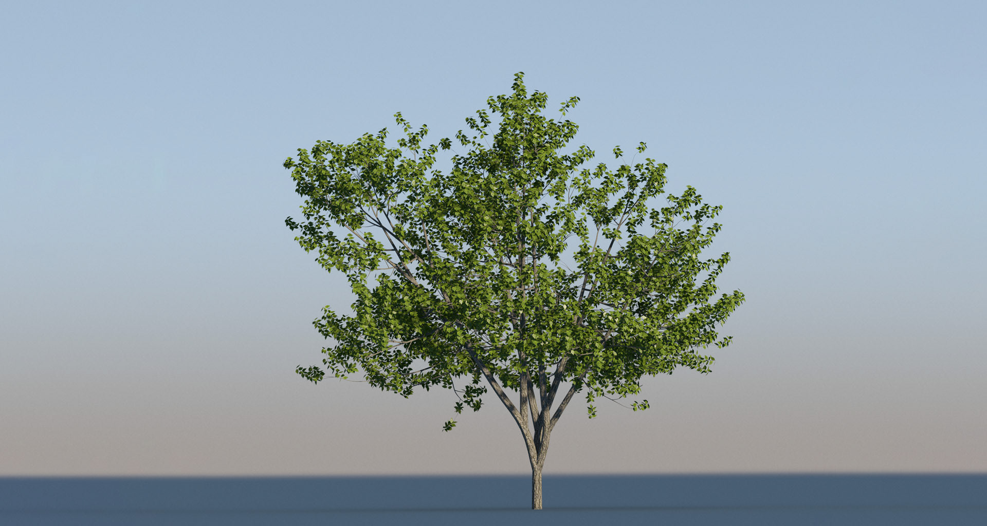 The Wave by Architecture Way-26