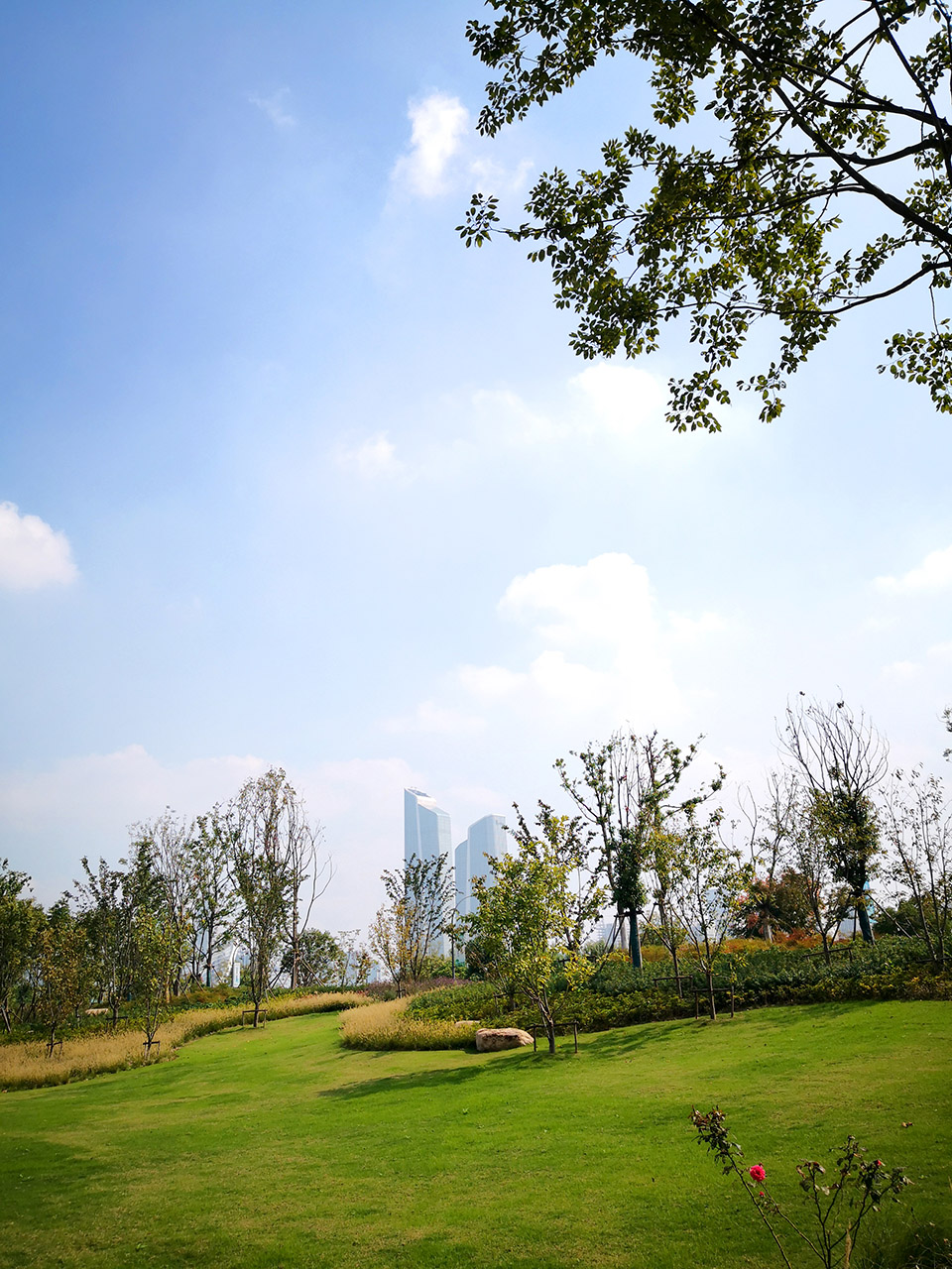 新加坡·南京生态科技岛-49