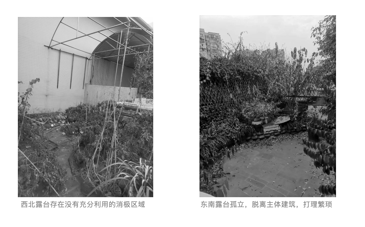 Clarify与自然共生丨中国成都丨回声空间-19