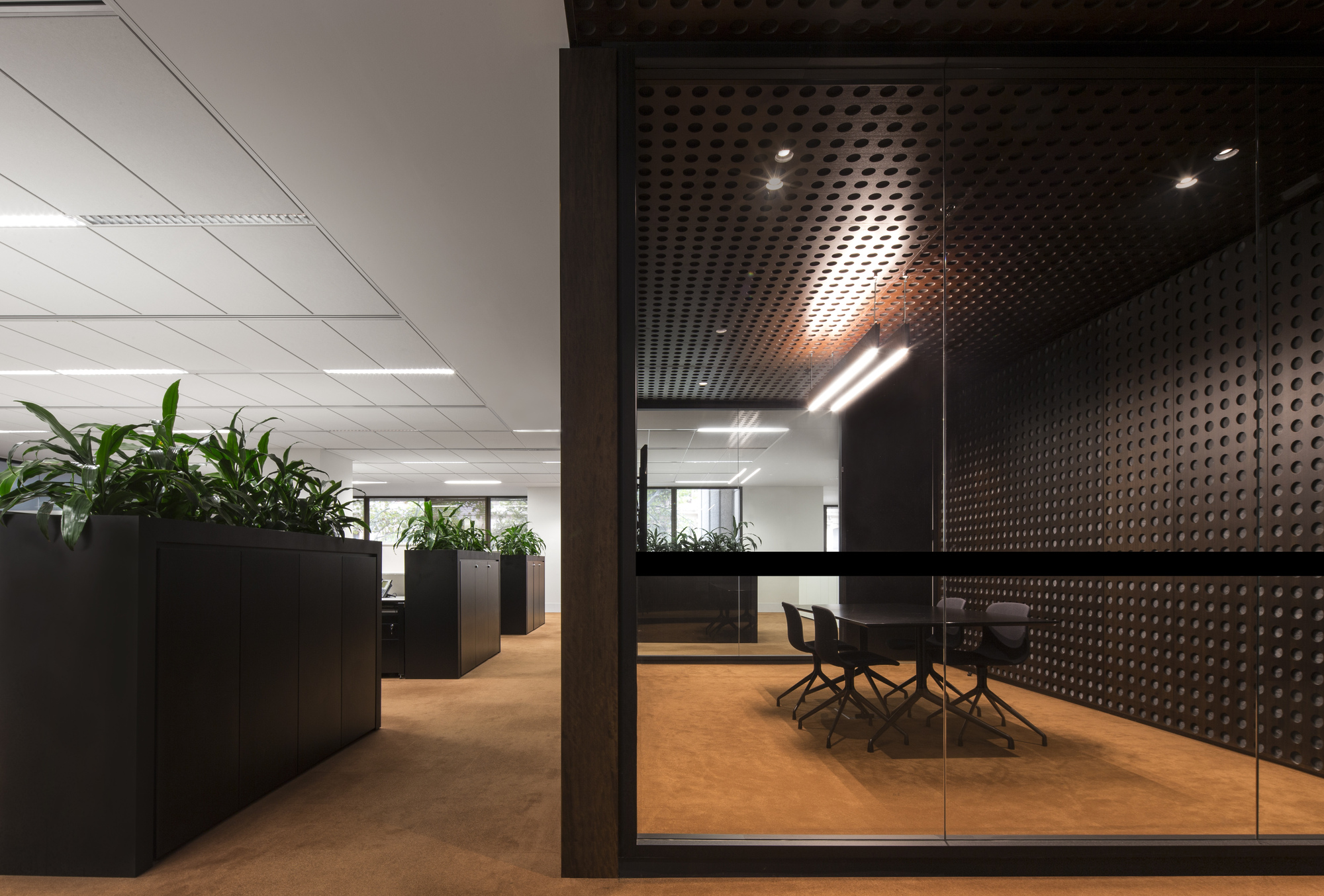 悉尼市政厅大厦的绿色翻新-5