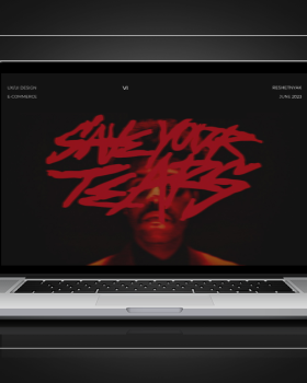 乙烯基商店多页网站丨未明确提及个人或公司名称