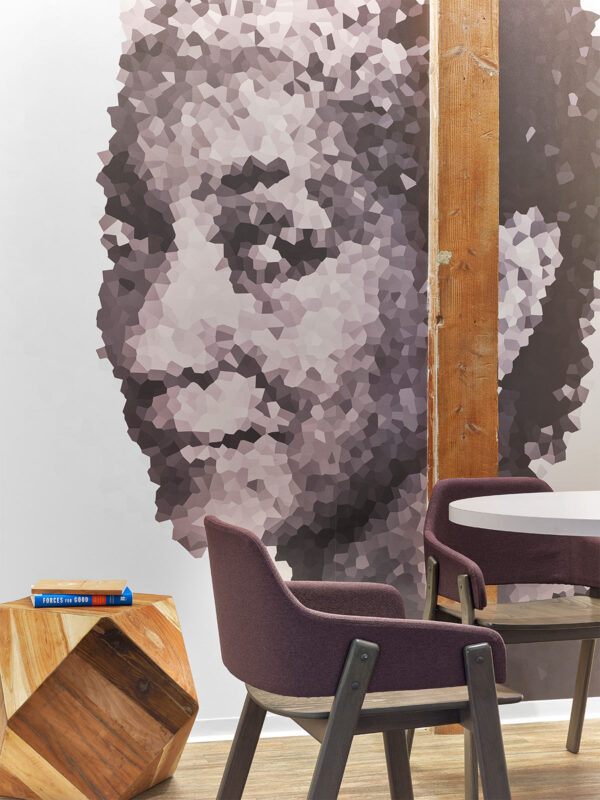 Teach for America，三藩市 -5