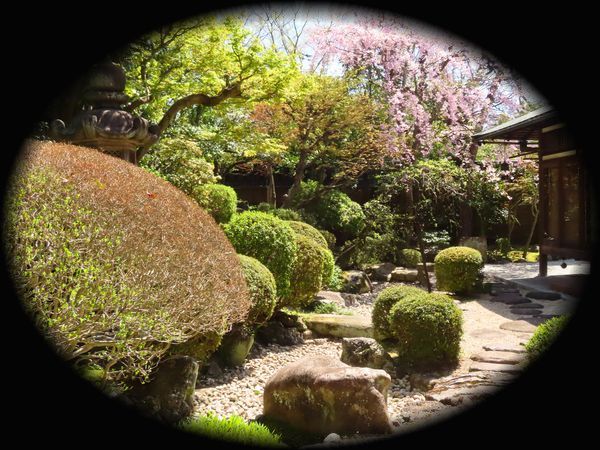 日本私立学校振興・共済事業団京都宿泊所『白河院』丨日本京都丨武田五一（建筑）,七代目小川治兵衛（植治）（庭园）-59