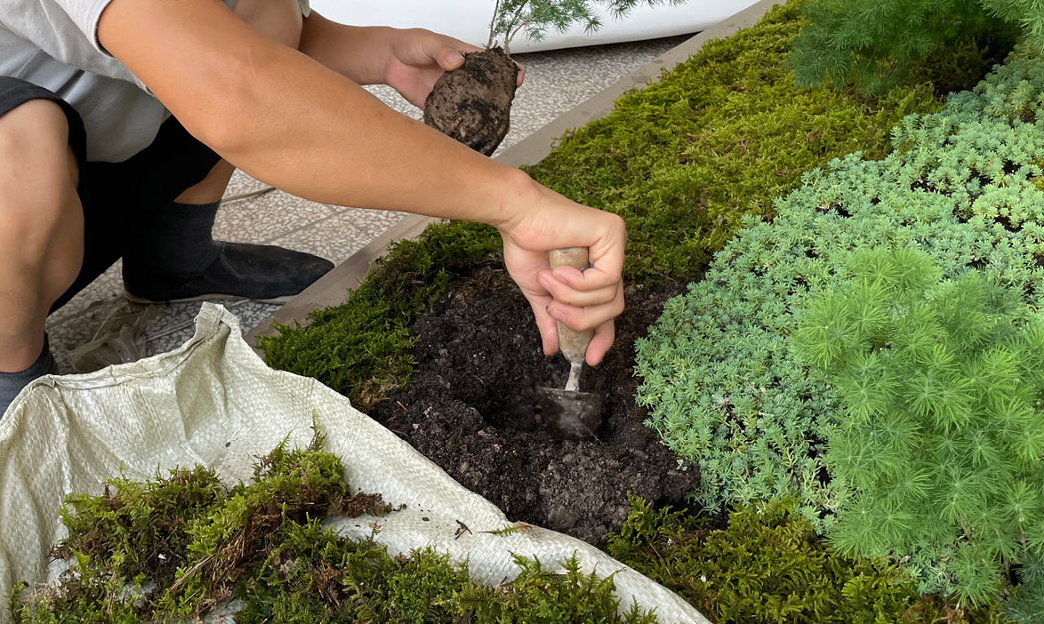 “绿梦” · 上海城市空间艺术季丨中国上海丨THLA天华景观-68