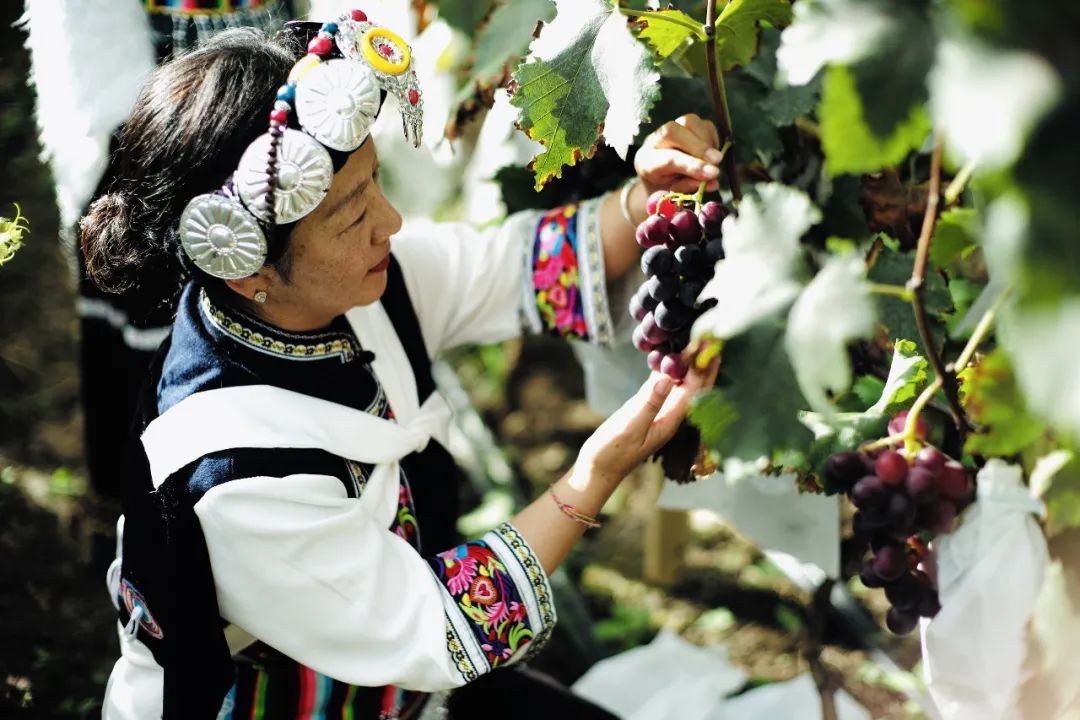 六家丽世酒店串联起一条茶马古道，滇藏线又添美好酒店体验-52
