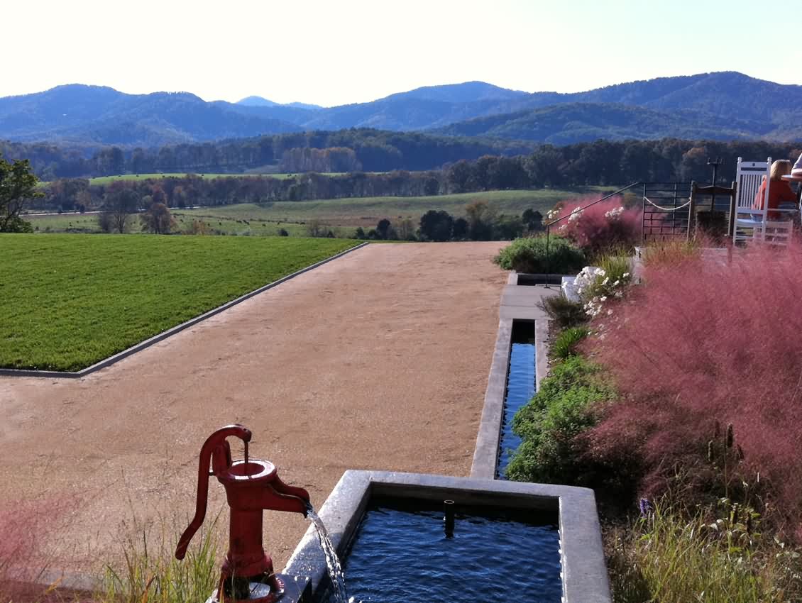 pippin山酒厂庭院景观 by siteworks studio-11