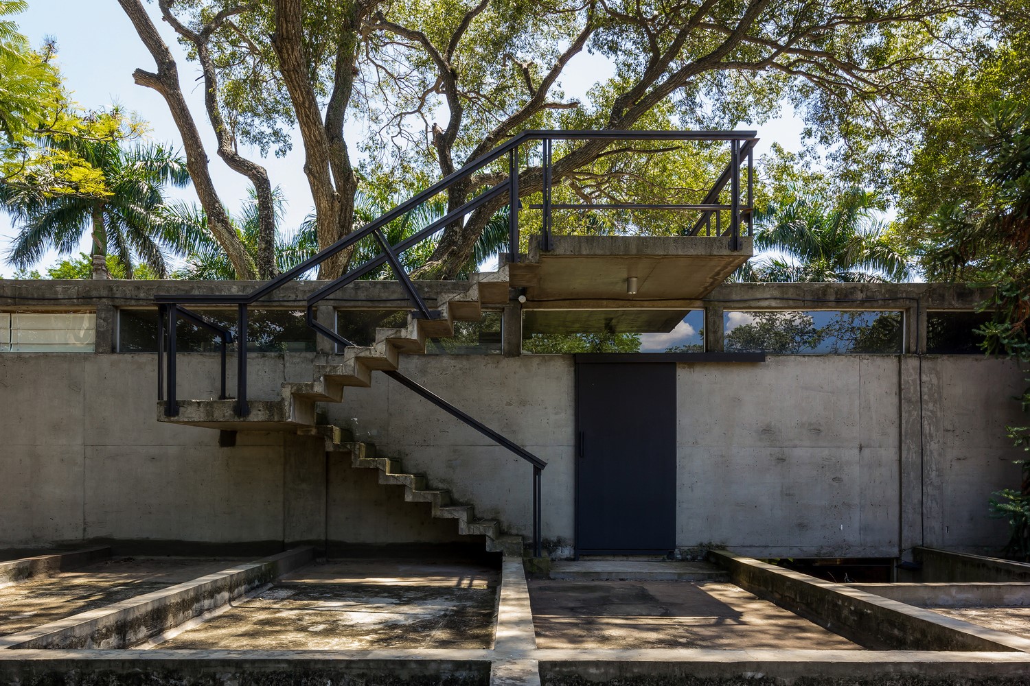 房子之间的树-22