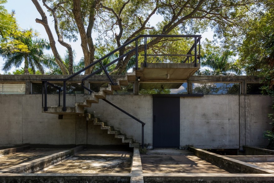 房子之间的树-22