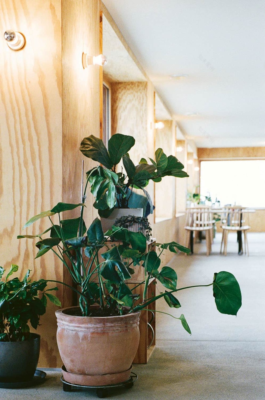 Anregende Kontemplation · 阿尔卑斯山酒店改造-6