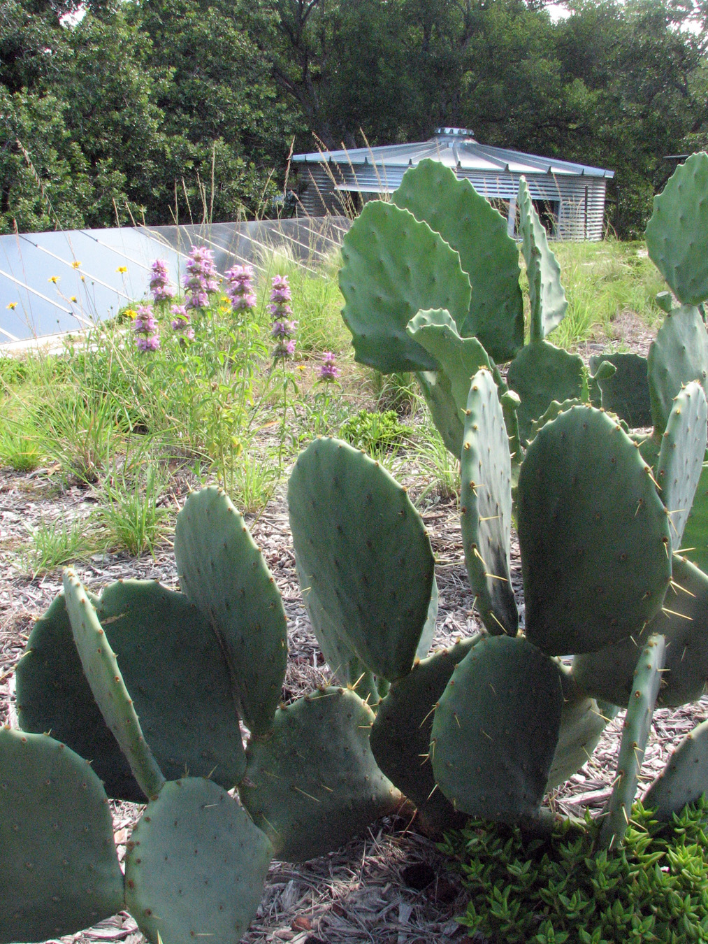 绿色环保的办公空间设计丨斯坦利工作室-18