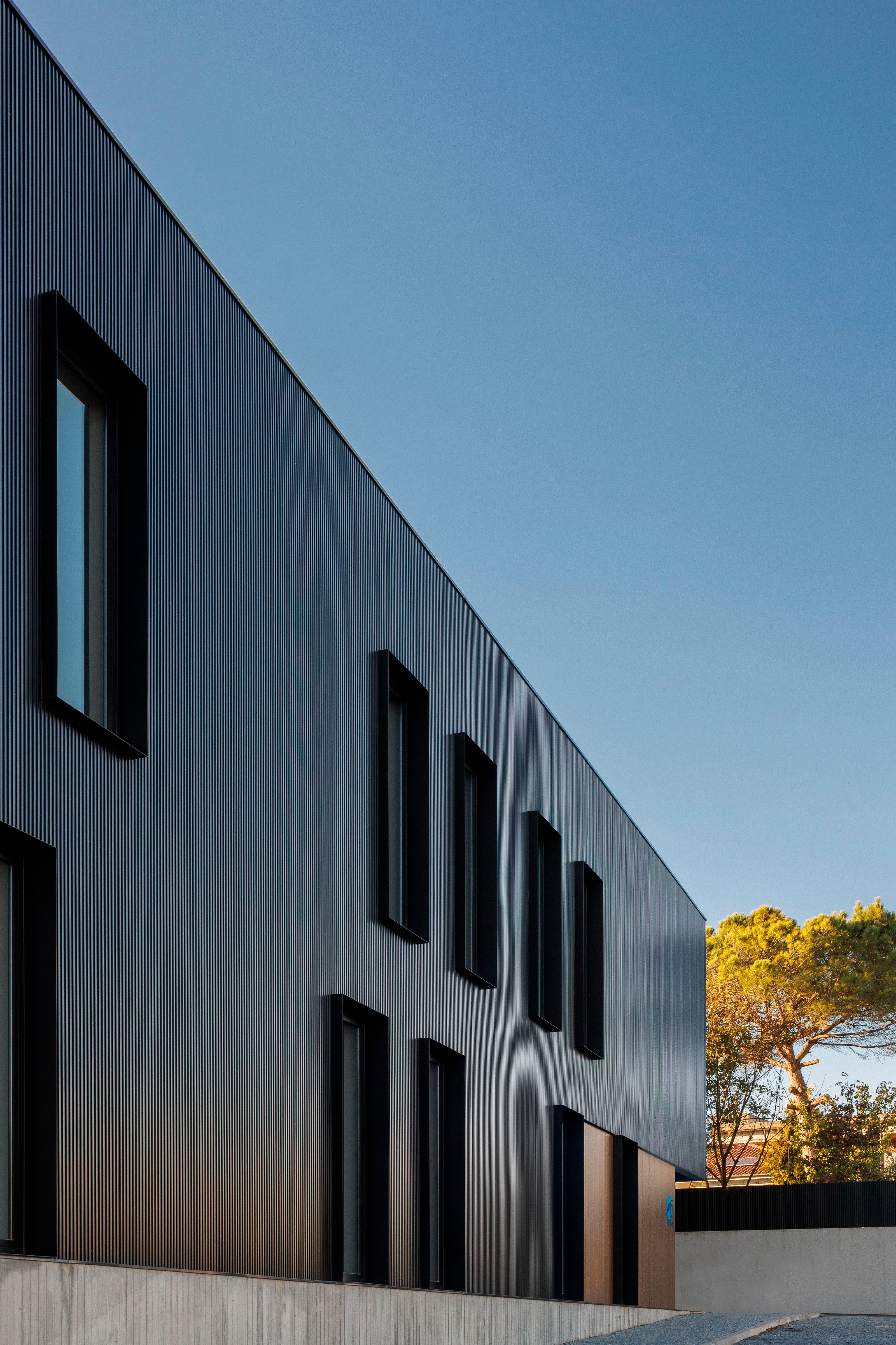 费西米尼奥物理治疗诊所丨葡萄牙丨L2C Arquitectura-36