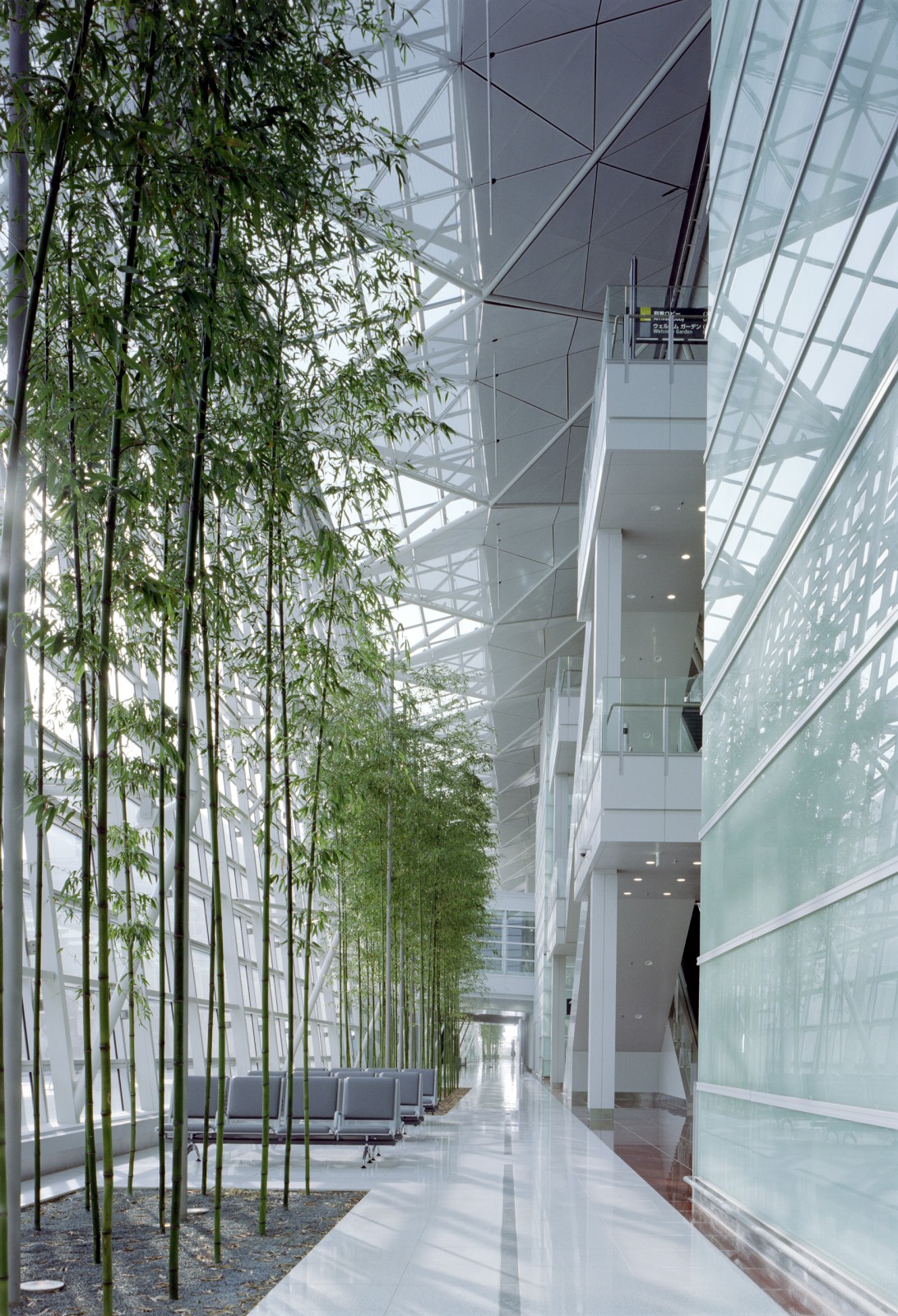 中部国际空港”Centrair” 旅客航站楼 | 交通 | Projects | NIKKEN SEKKEI LTD-5