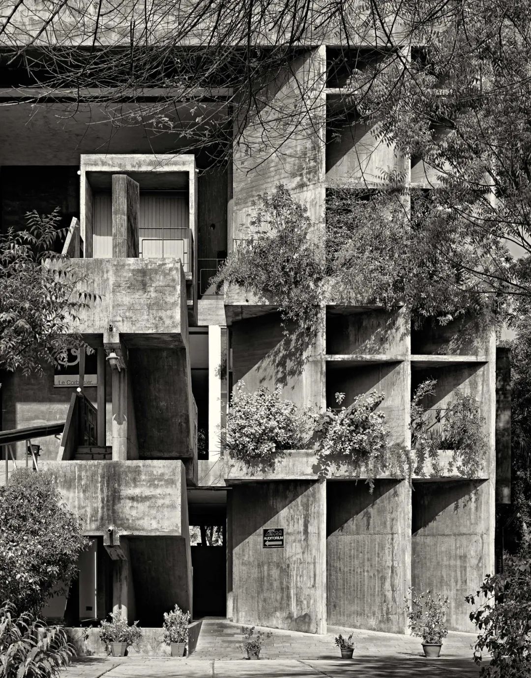 绍丹别墅丨勒·柯布西耶-34