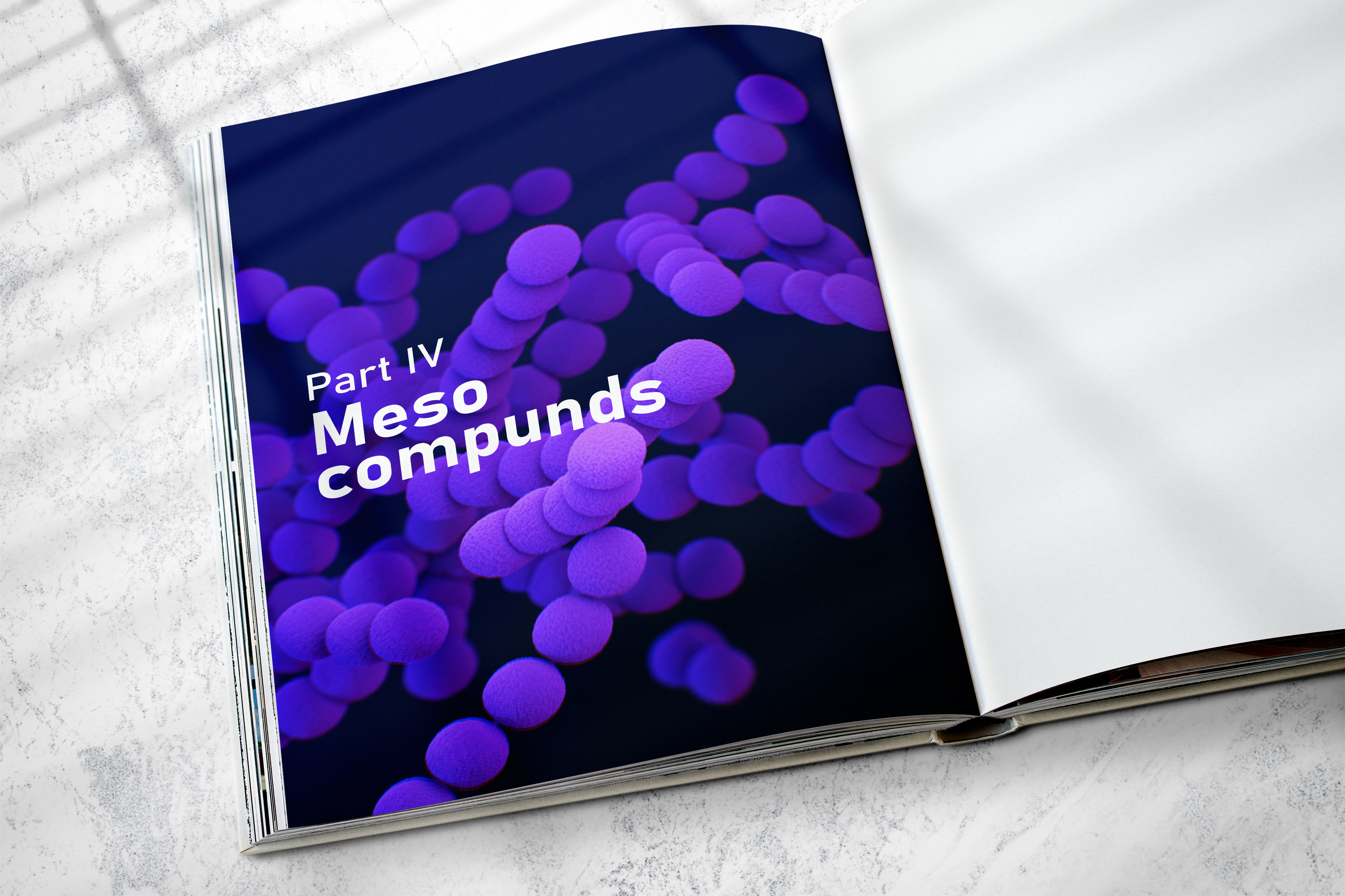 Organic chemistry day in my university-4