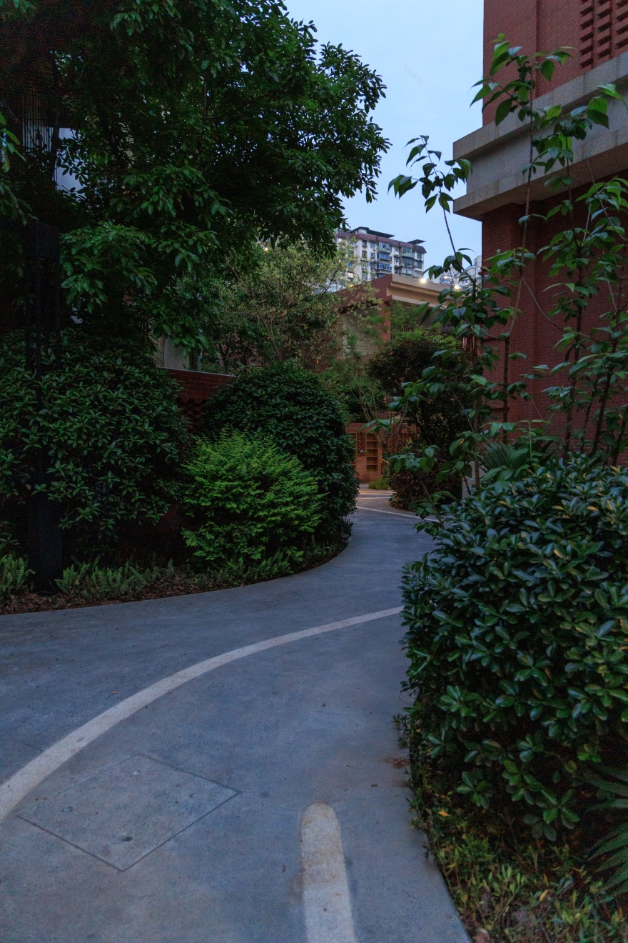 巴蜀中学张家花园校区景观改造丨中国重庆丨AF.d 奥凡设计(景观),重庆市设计院城市建筑一院(建筑)-126