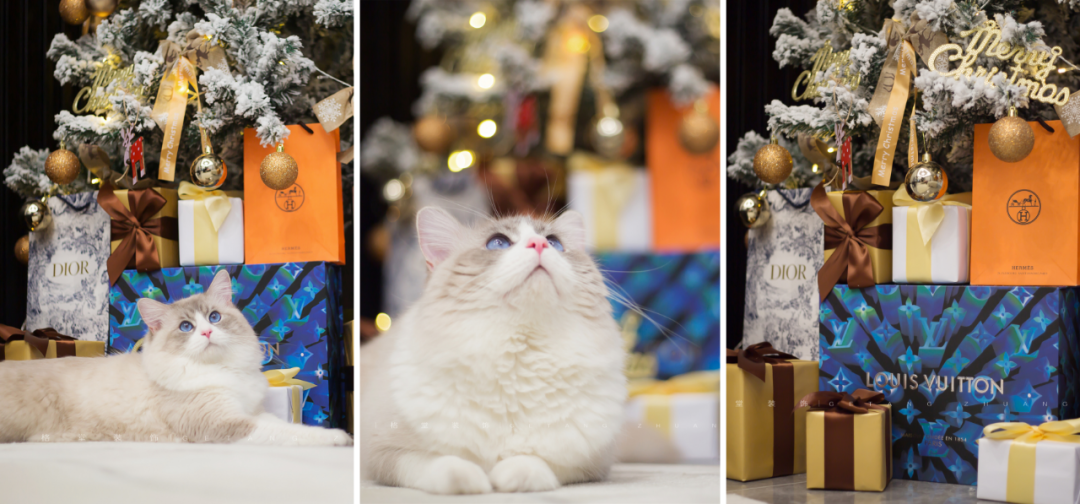 摩登视界 · 现代风格独栋别墅设计丨韩婷婷-14