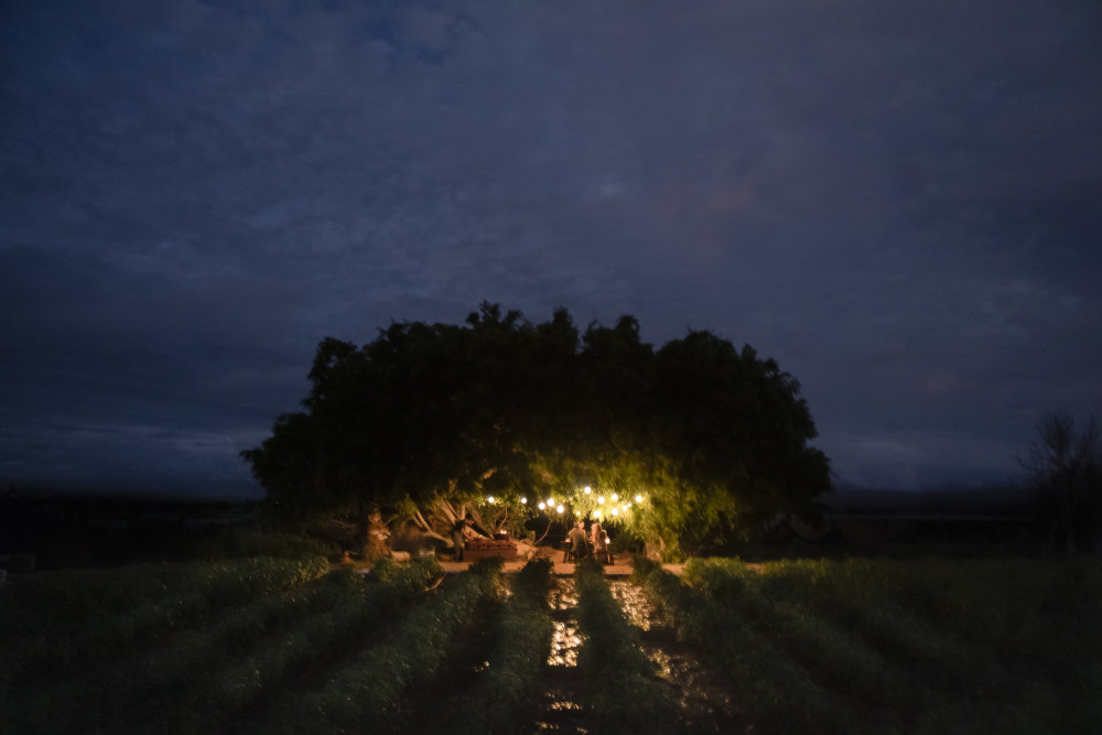 墨西哥托多斯·桑托斯度假酒店丨耶克塔霍·瓦尔迪兹建筑师事务所-22