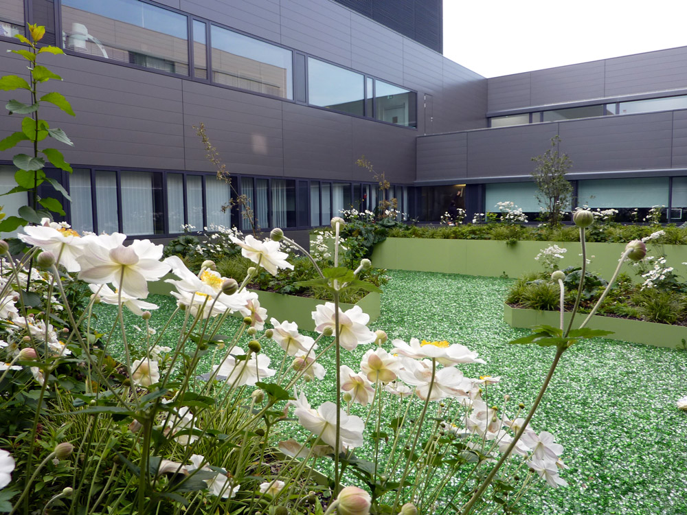 奥地利 Klagenfurt 医院“Arboretum Klinikum”庭园设计-26