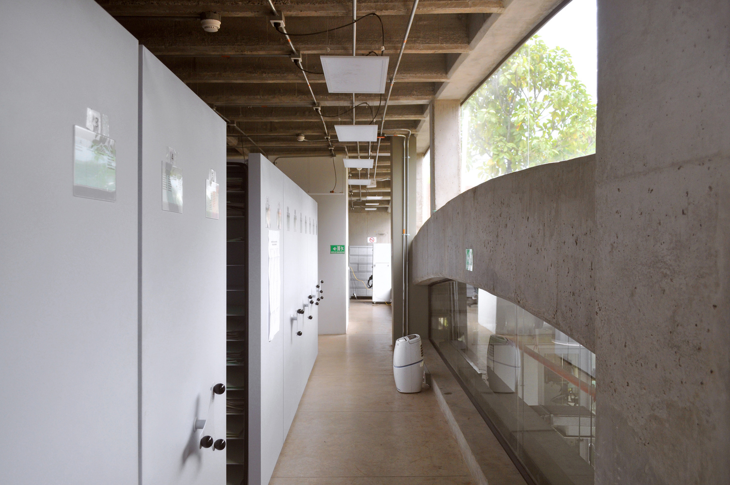 波哥大植物园植物标本馆-41