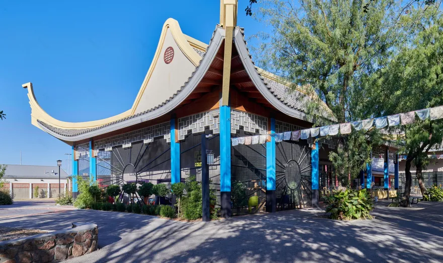 埃尔帕索动物园猫咪领养中心丨美国埃尔帕索丨MNK Architects-12