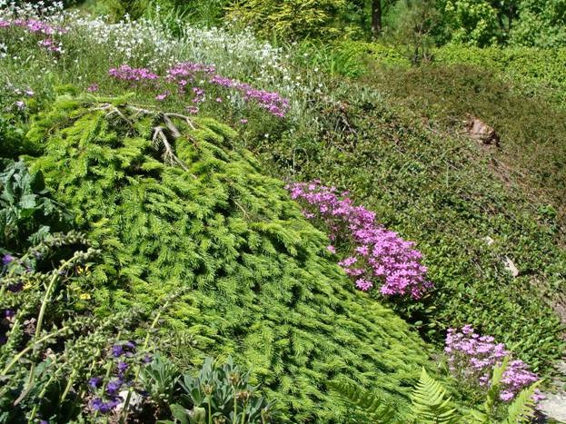 捷克雷哈切克先生的私家花园-33