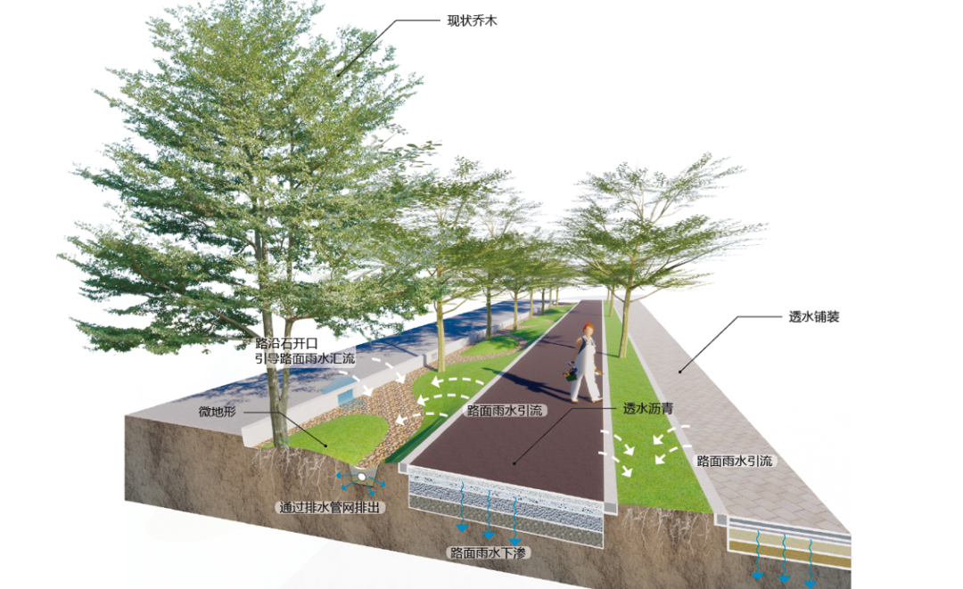 深圳光明区海绵城市改造丨中国深圳丨文科园林-23