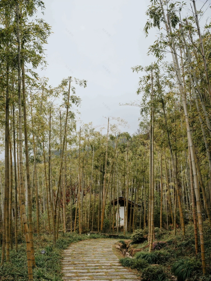 陶园丨中国丨中国美术学院风景建筑设计研究总院熊礼和团队-10