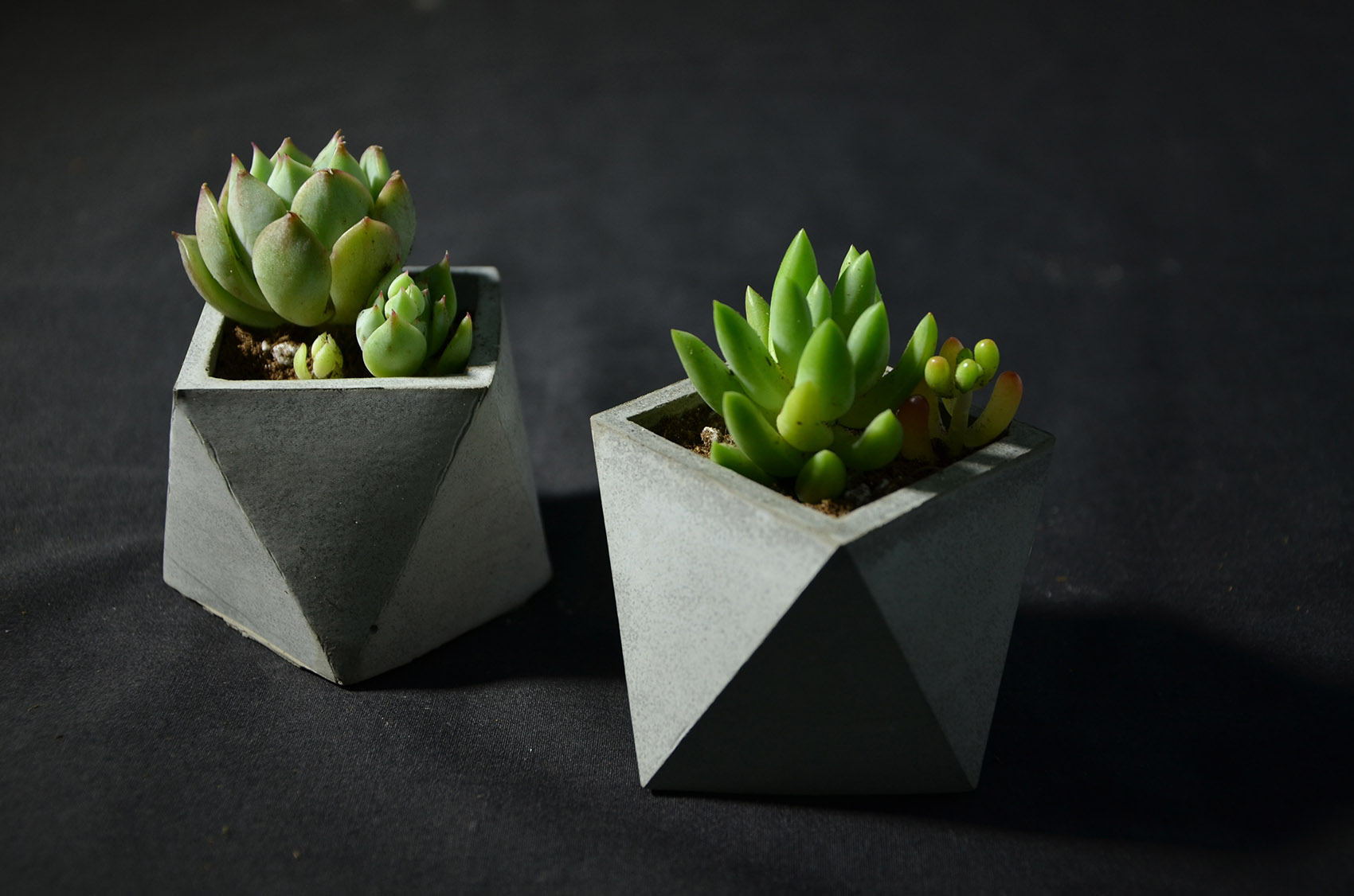 将美带入生活 & 可以自己制作的精致混凝土器物 / 造么工作室-81