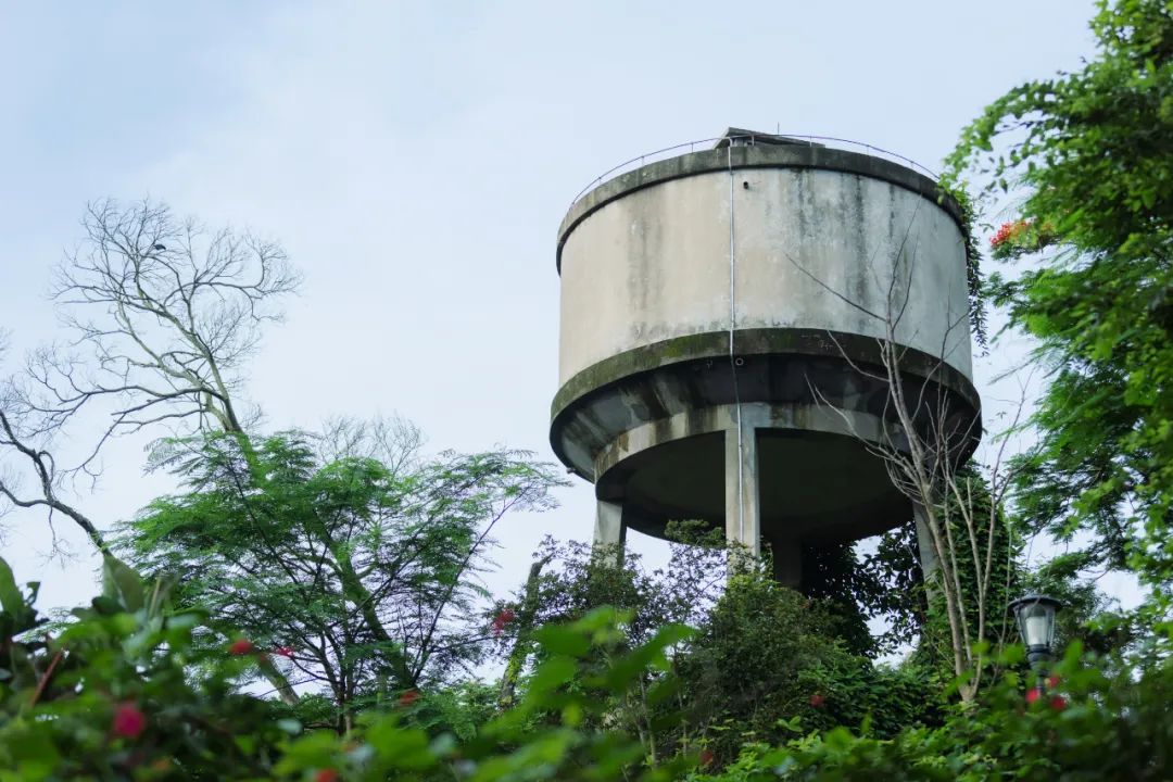 鹭潮·鼓浪屿美院丨中国厦门丨GND杰地景观-115