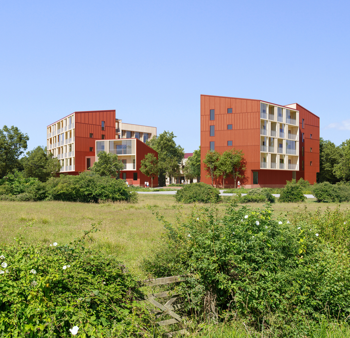 Piiri 木制住宅区丨芬兰丨Tommila Architects-15