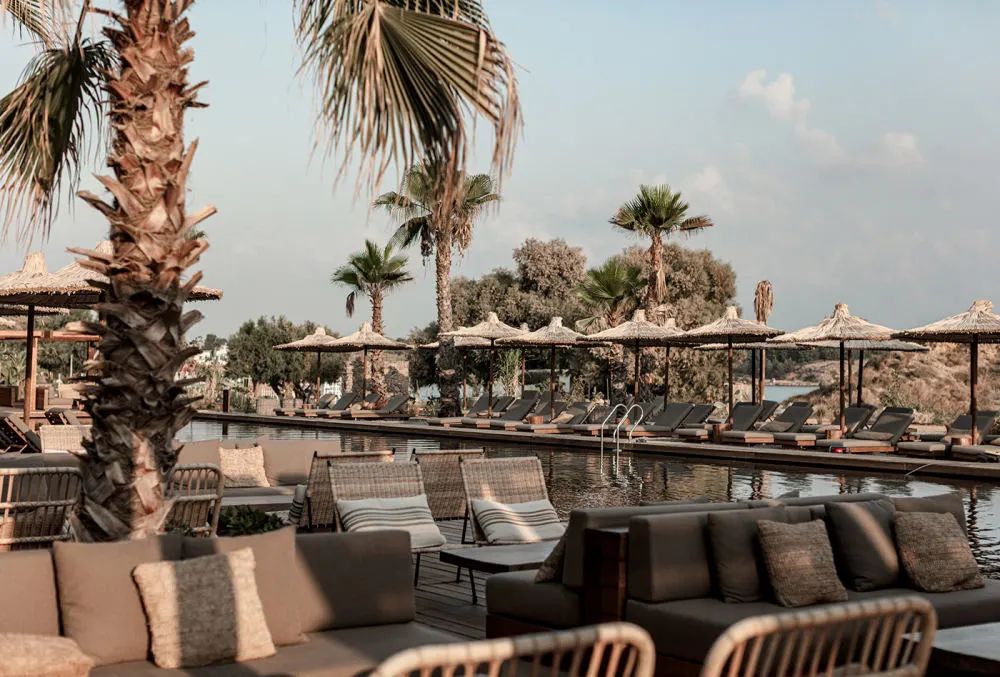 YAPA精品餐厅丨意大利米兰丨Lambs and Lions-147