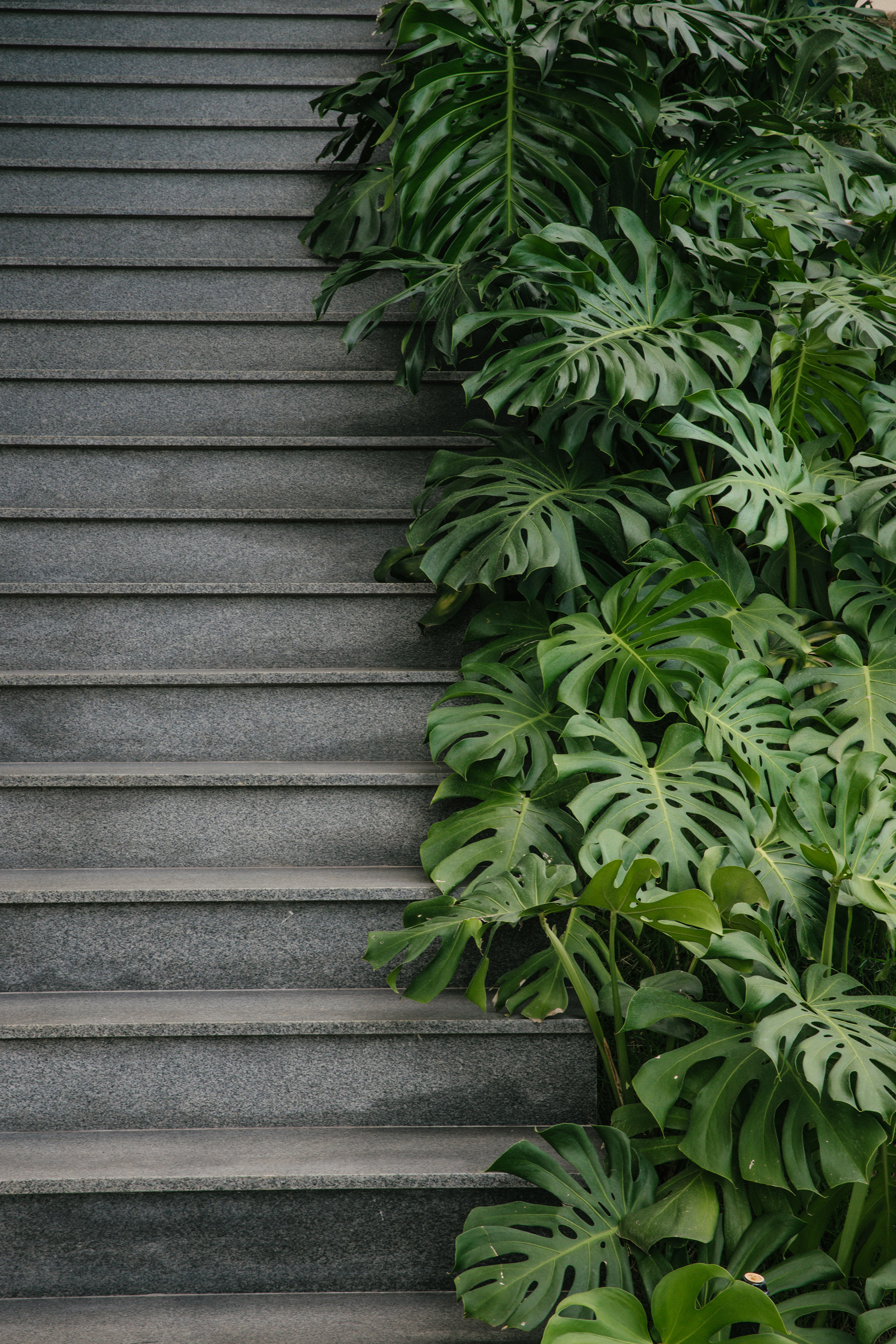 WJ 之家丨Liga Arquitetura e Urbanismo-20