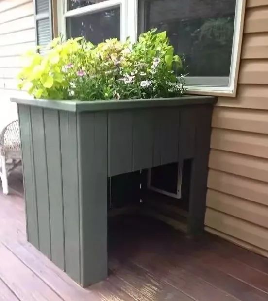 庭院宠物之家 | 打造宠物宜居的户外空间-34