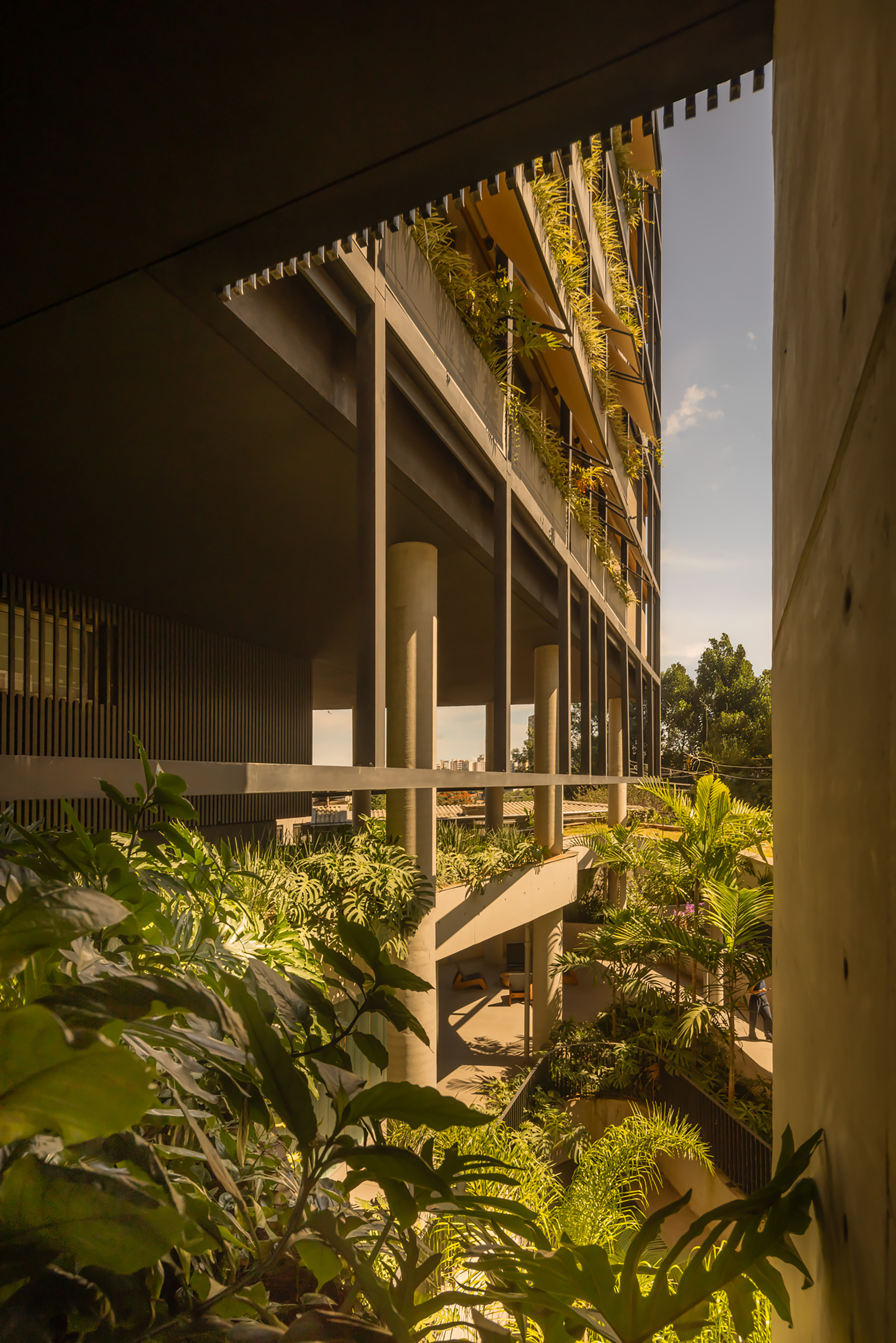 帕斯科阿尔·维塔大厦丨巴西圣保罗丨Bernardes Arquitetura-16
