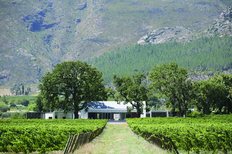 南非 Franschhoek 山谷的现代私人住宅-17