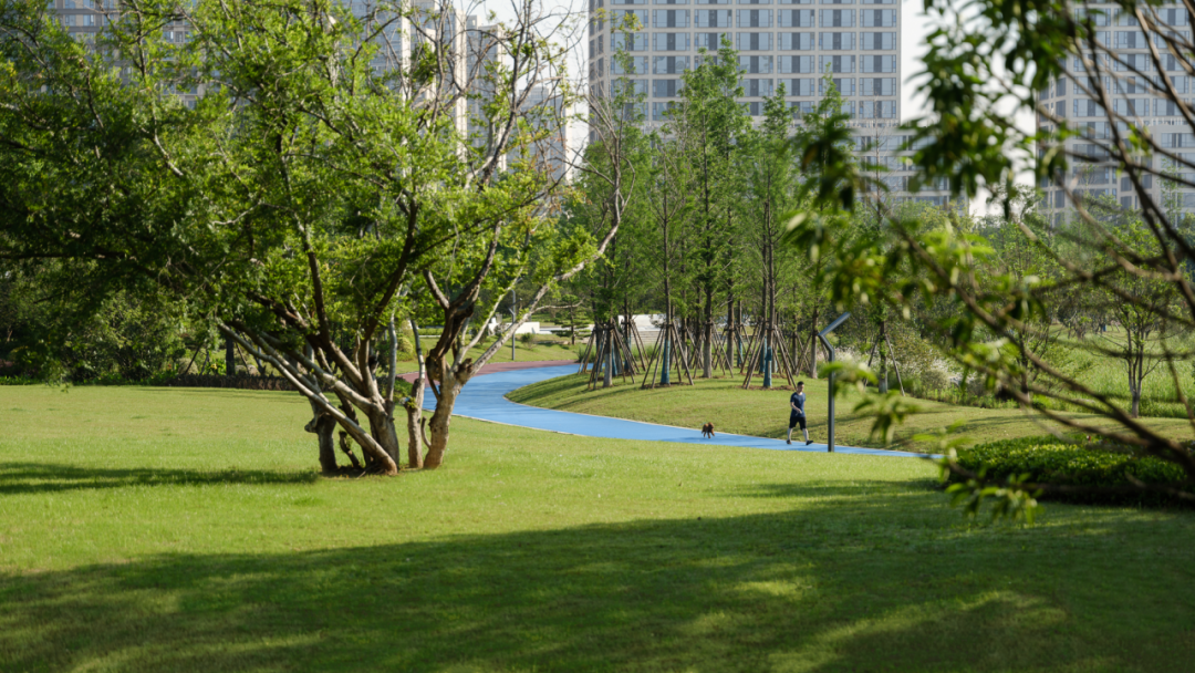 九龙湖绿地国博城雨阳公园丨中国南昌-24
