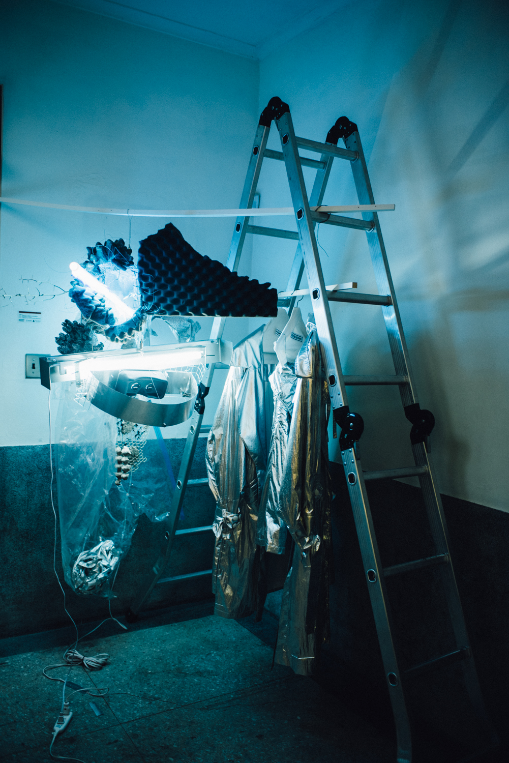 nonesuch Market - 質物霽畫 BOTANIPLAN VON LEE CHI  -2