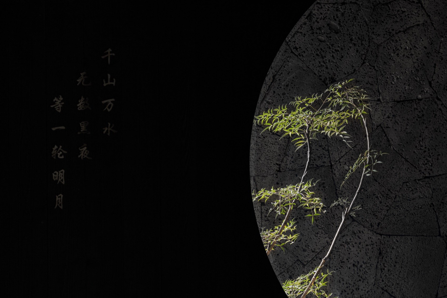 田间之上 中国湘菜馆丨中国广州丨黑白木设计-36