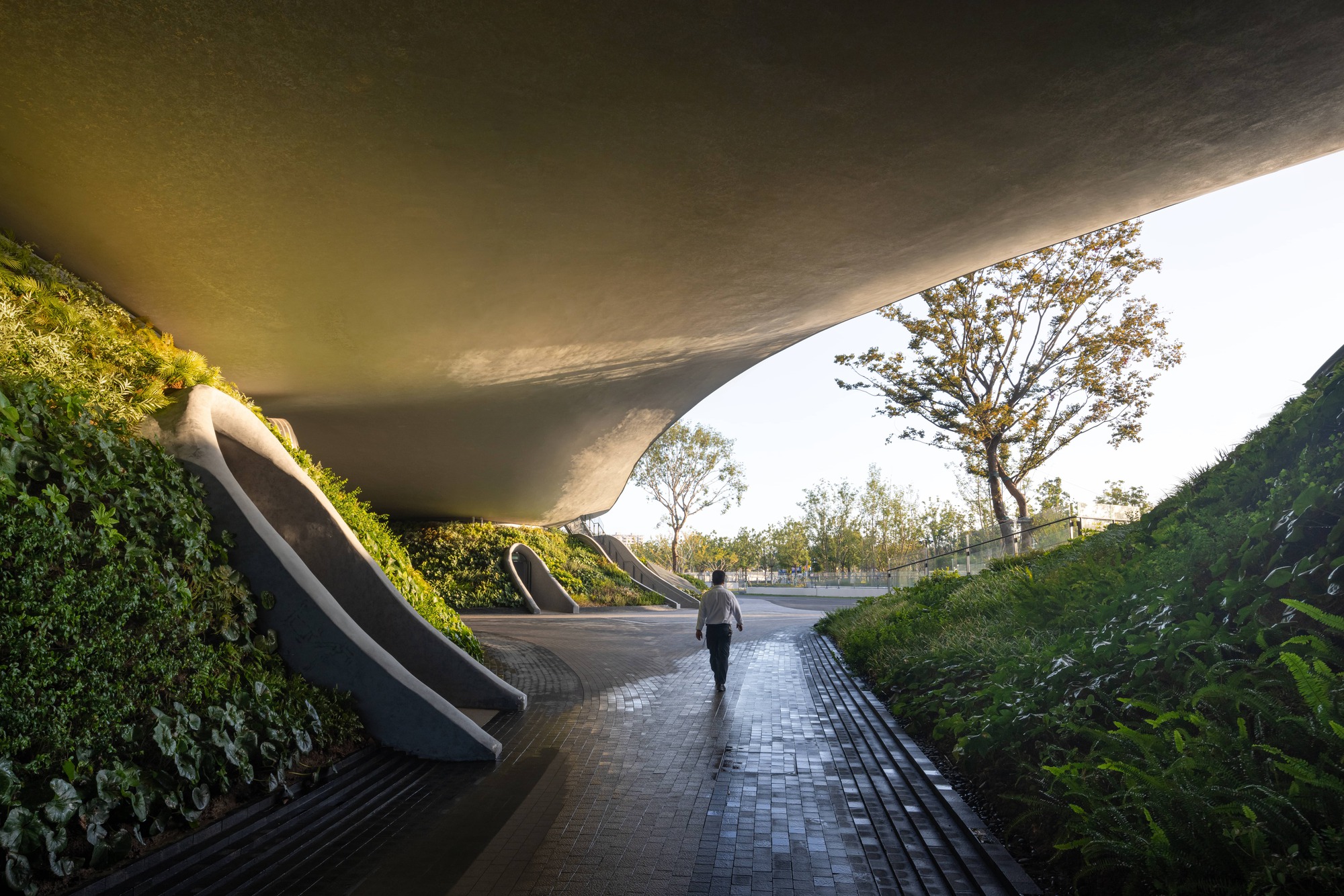 Wave Cube文化中心建筑丨中国上海丨Scenic Architecture Office-79