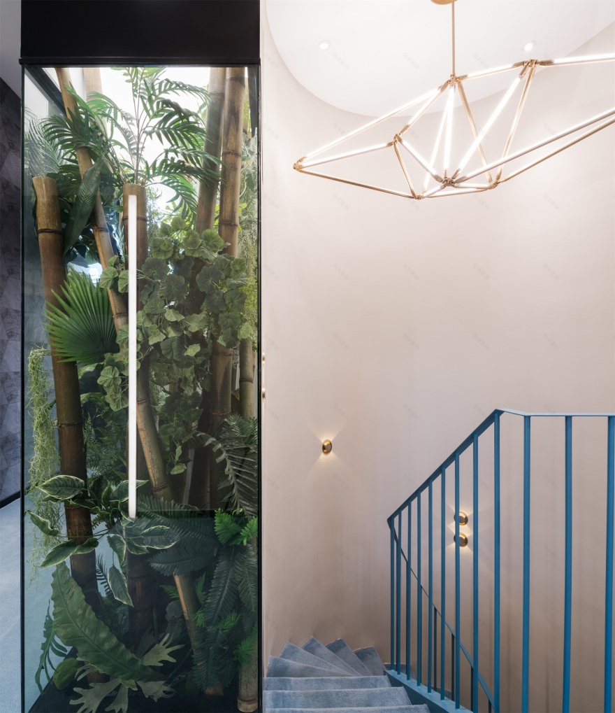 连接科学与公众的 Accuragen 机构办公室-30