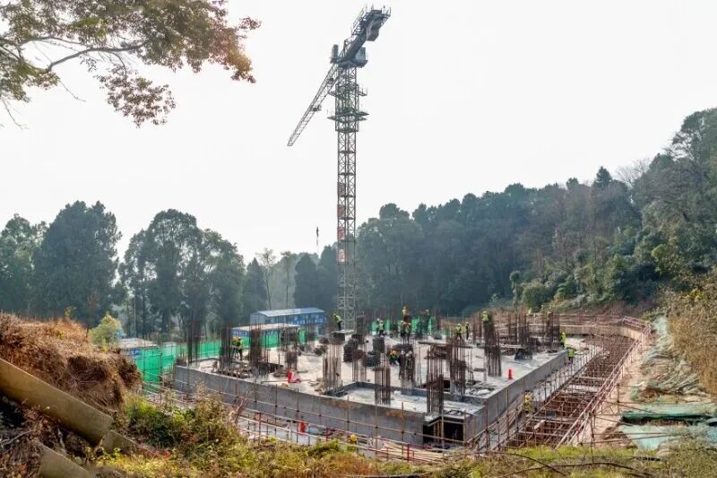 思纳设计|隐于青城山内的禅意新生-105