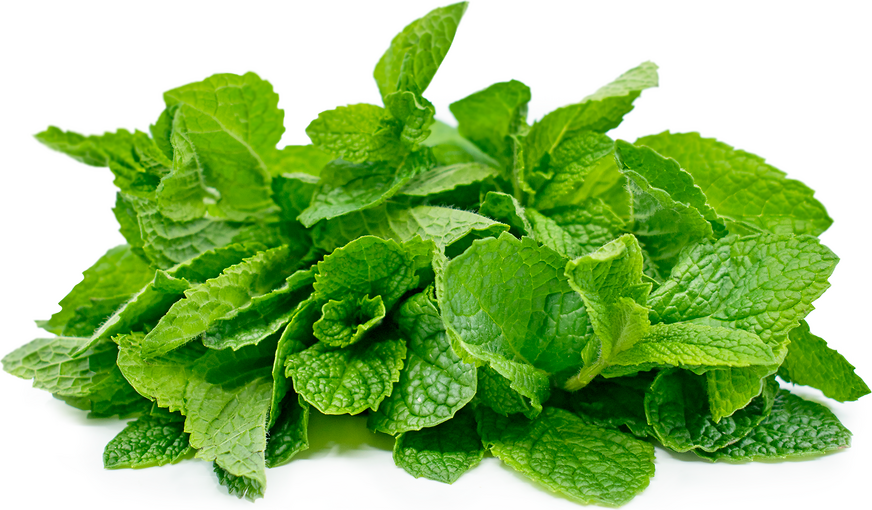 INSPIRATION OF NATURE-10