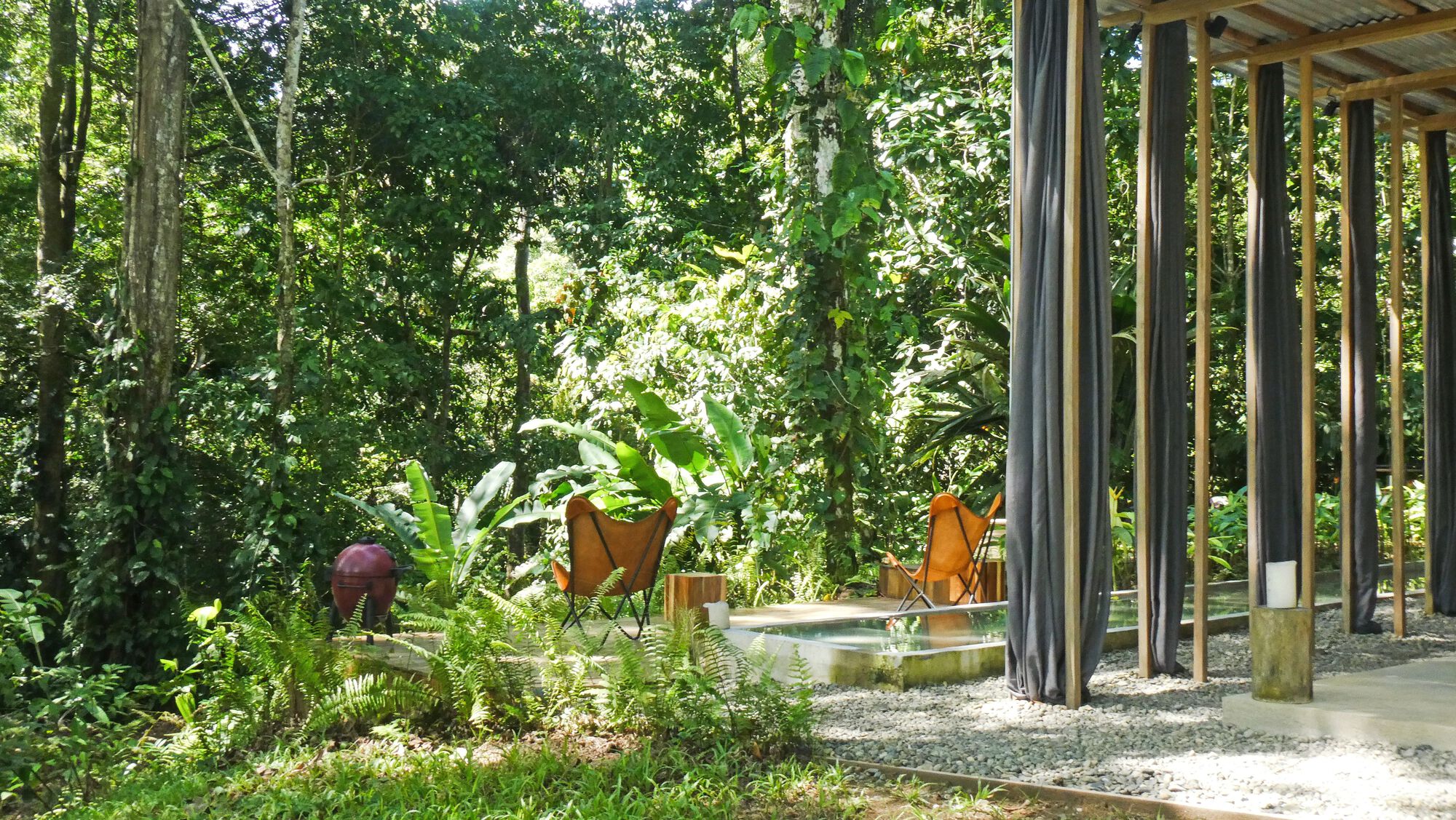 丛林开放日丨哥斯达黎加丨Ksymena Borczynska-22