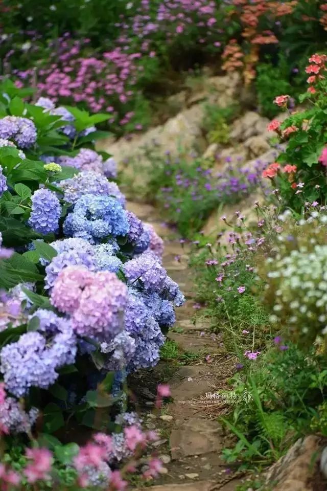 他建了座2亩的鲜花小院，满足你对花园的所有幻想-48