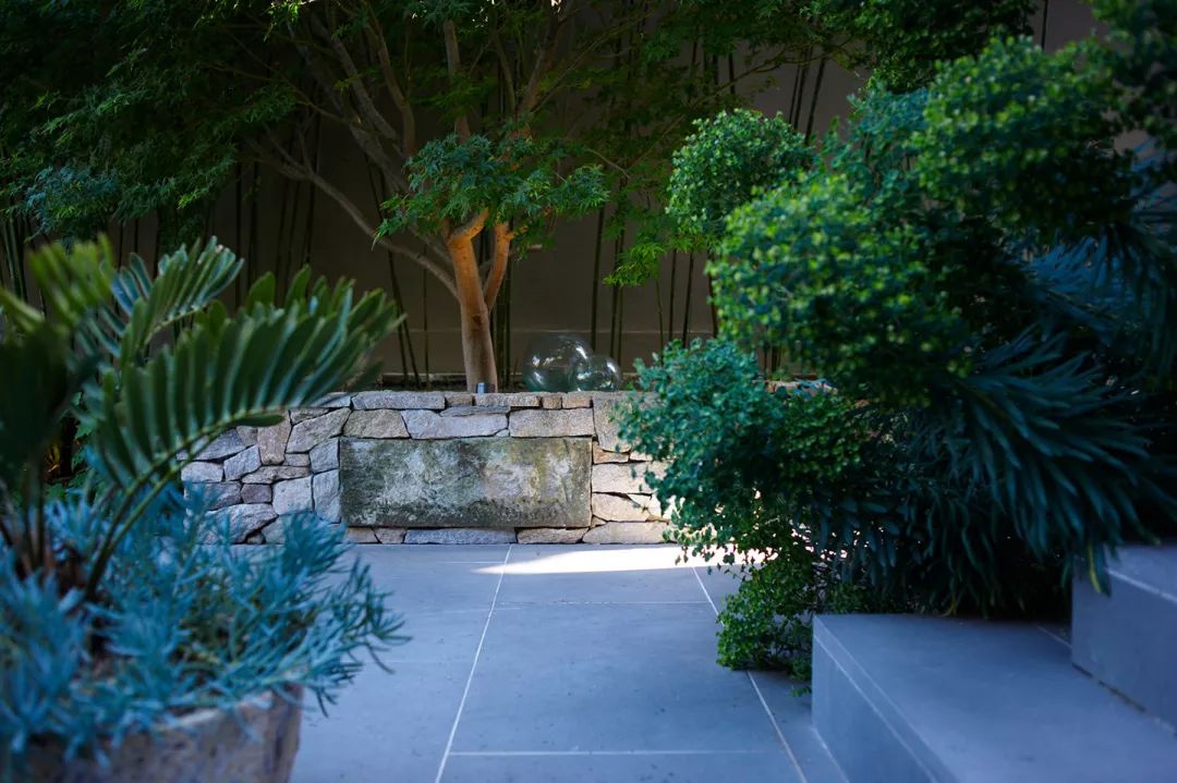 SECRET GARDENS 庭院系列-53