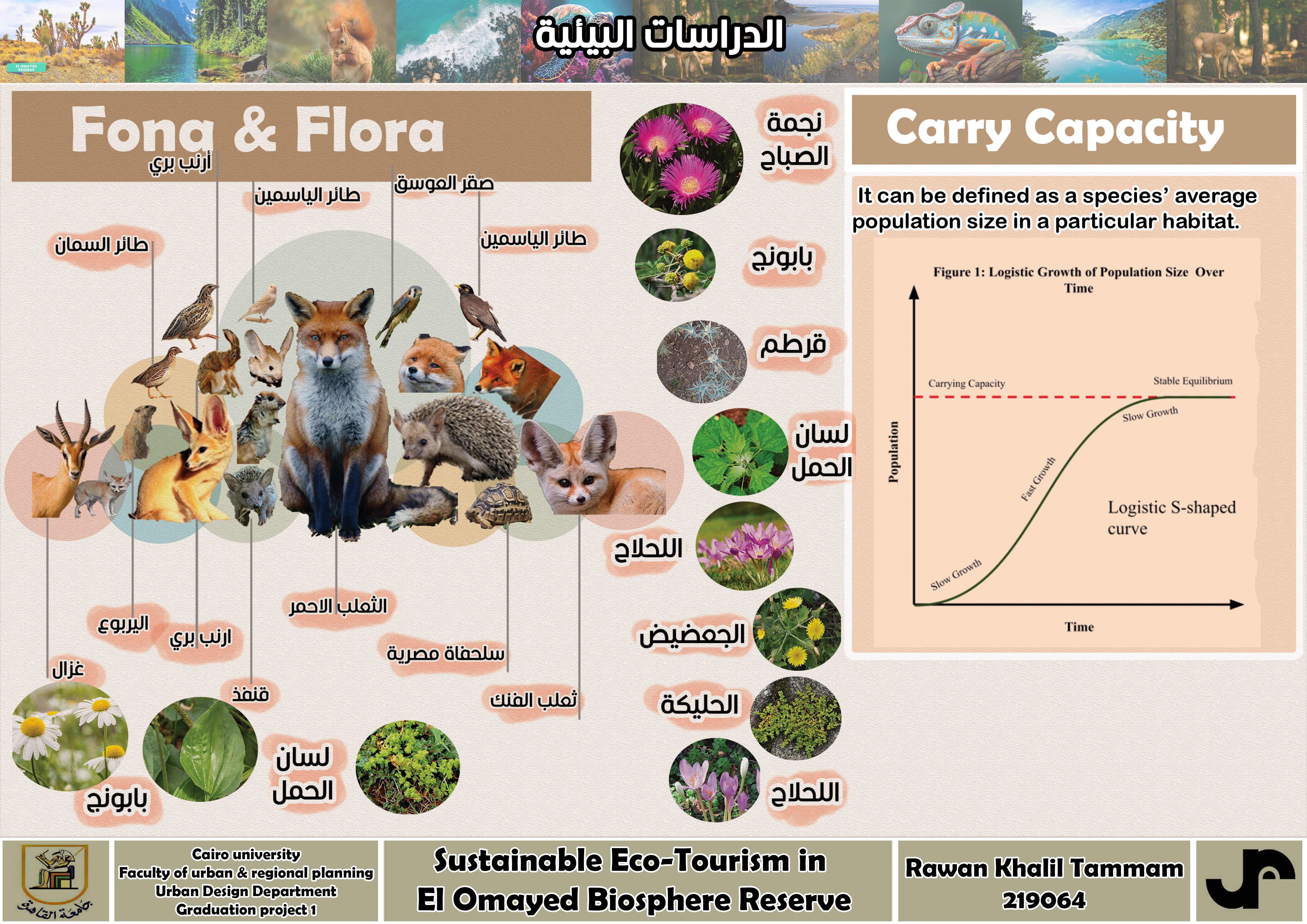 Sustainable Eco-Tourism In El Omayed Biosphere Reserve-14