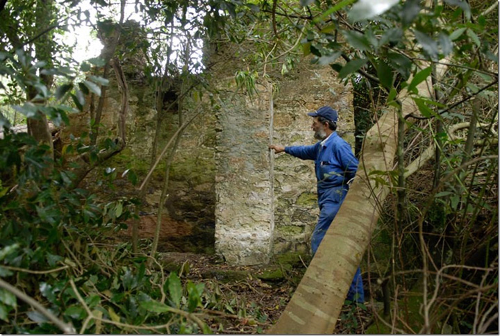 Grabouw地区旧水磨坊-3