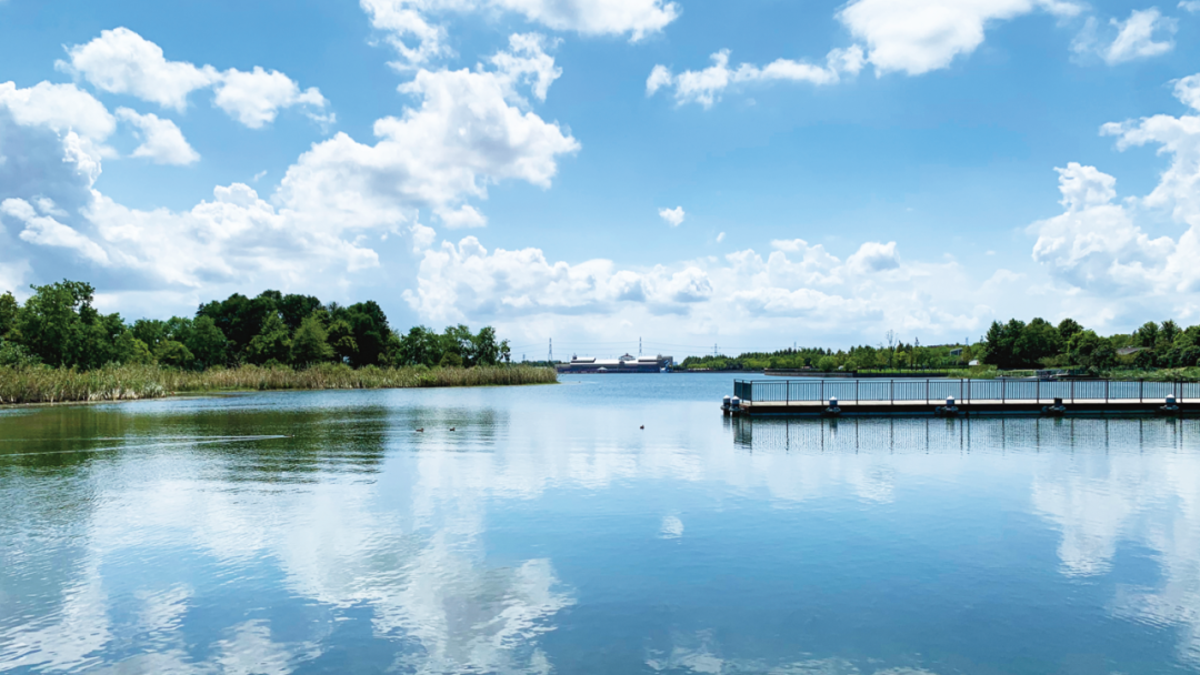 勝地|到公园去探探“动静”！-17