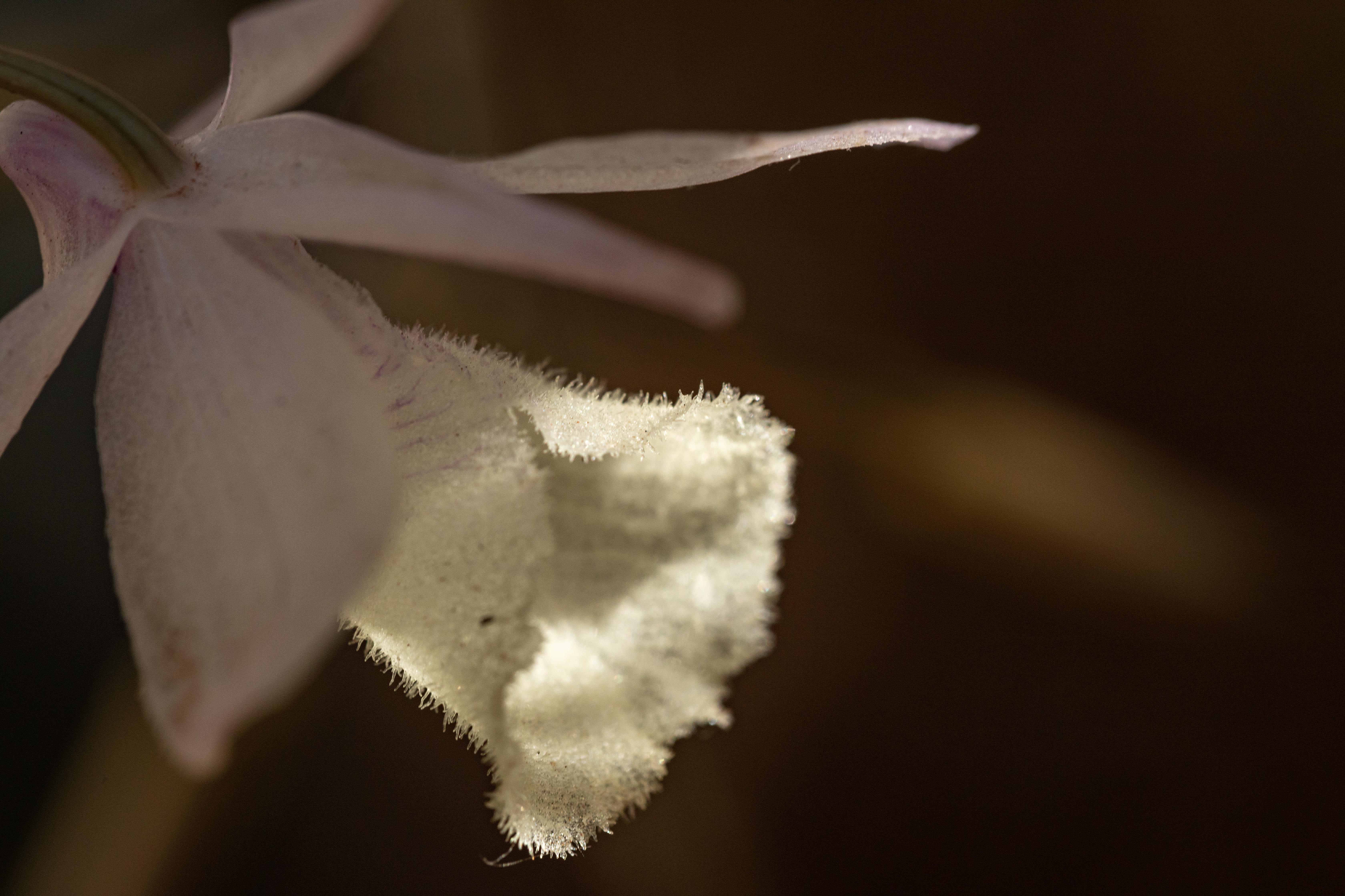 室内植物设计-19